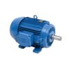 Motor Trifásico WEG - W22