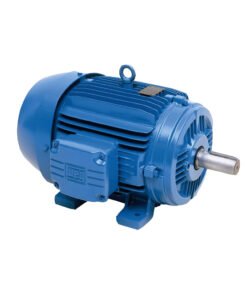 Motor Trifásico WEG - W22