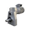 Motorredutor IBR P - Alto Rendimento